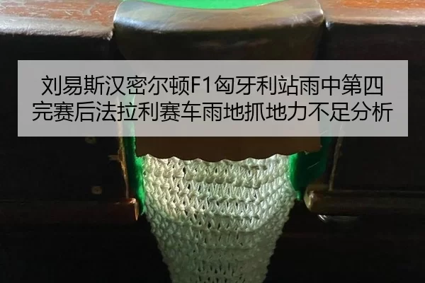 liu-yi-si-han-mi-er-dun-xiong-ya-li-zhan-yu-zhong-di-si-wan-sai-hou-fa-la-li-sai-che-yu-di-zhua-di-li-bu-zu-fen-xi-2-209.jpg