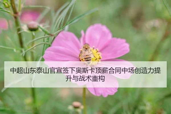 zhong-chao-shan-dong-tai-shan-guan-xuan-qian-xia-ao-si-ka-ding-xin-he-tong-zhong-chang-chuang-zao-li-ti-sheng-yu-zhan-2-489.jpg