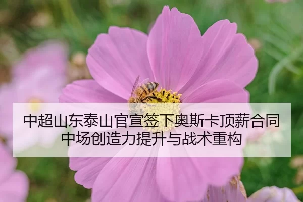 zhong-chao-shan-dong-tai-shan-guan-xuan-qian-xia-ao-si-ka-ding-xin-he-tong-zhong-chang-chuang-zao-li-ti-sheng-yu-zhan-3-837.jpg